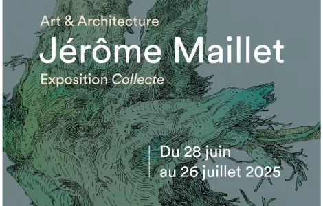 Exposition "Collecte" - Jérôme Maillet