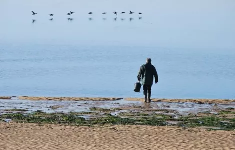 Sortie Estran et Pêche à pied 