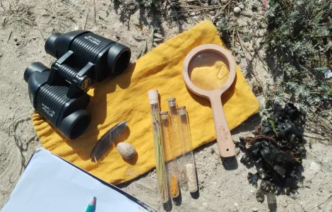 Ateliers des 5 sens sur les plantes littorales de la barre