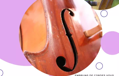 🎻 Concert de violoncelles - Mémoires déportées 🎻