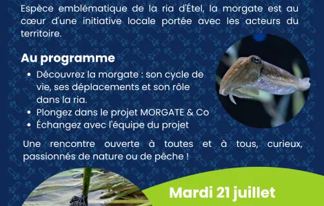🦑 À la découverte de la morgate