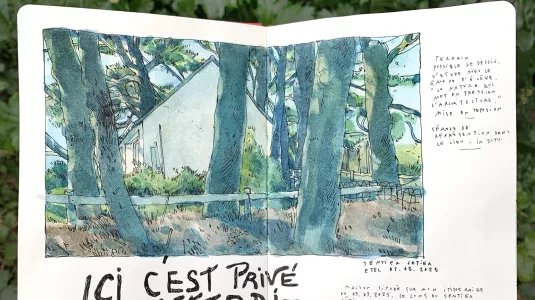 DESSIN AU JARDIN🖌️🌺