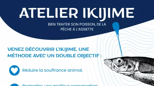 🐟 Atelier Ikijime