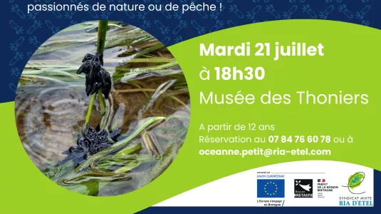 🦑 À la découverte de la morgate